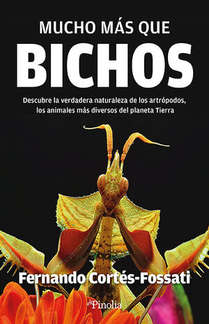 BICHOS