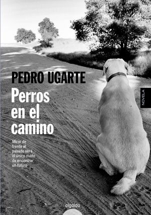 PERROS EN EL CAMINO