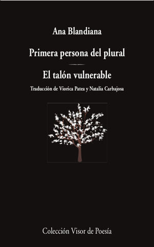 PRIMERA PERSONA DEL PLURAL ; EL TALÓN VULNERABLE