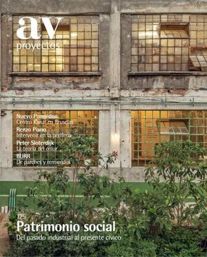 AV PROYECTOS 125 PATRIMONIO SOCIAL